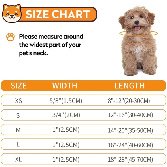 Aqua Dog Collar - Picture 4 of 4